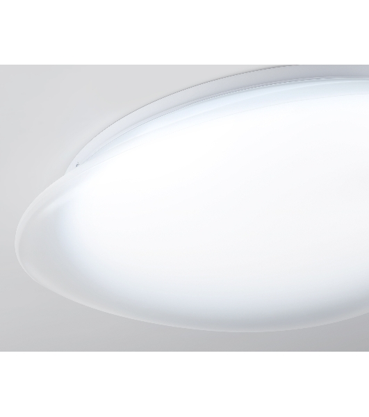 Потолочный светодиодный светильник Ambrella light FZ1605 FR матовый IP20 60W 5000K 510*100 (Без ПДУ)