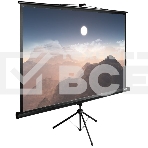 Экран Cactus 180x180см TriExpert CS-PSTE-180x180-BK 1:1 напольный рулонный, фото4