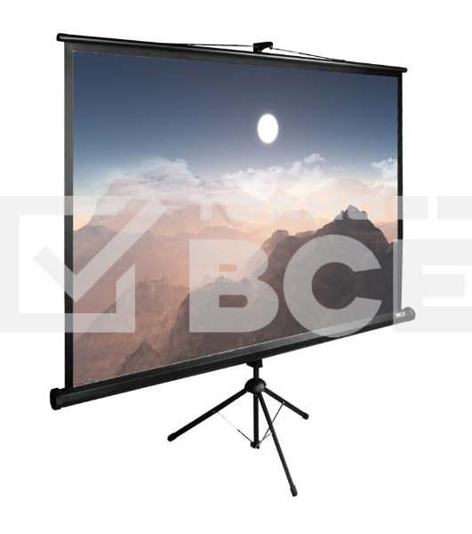 Экран Cactus 180x180см TriExpert CS-PSTE-180x180-BK 1:1 напольный рулонный