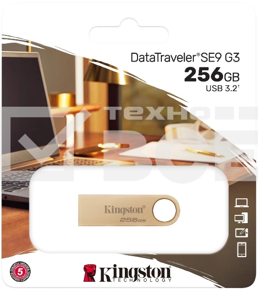 Флеш диск Kingston 256GB DataTraveler SE9 DTSE9G3/256GB USB3.0 серебристый