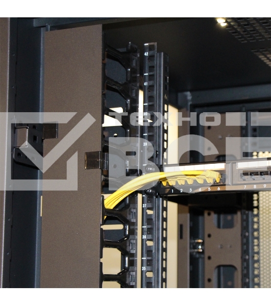 Вертикальные органайзеры с пластиковыми пальцами 149 мм, 42U, для шкафов Business шириной 800 мм, 2 шт., черные