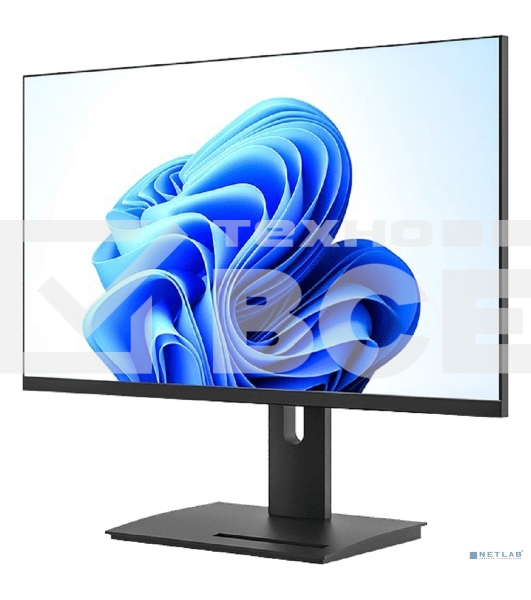 Монитор 27' Мониторус HS2700-K-VHPI-AS100Q IPS 1920x1080, 100 Гц, 5 мс, 16:9, 250 кд/м², VGA, HDMI, DP, 3.5 Jack, динамики (2×2 Вт), HDR10, черный, в реестре Минпромторга