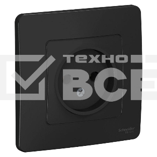 Розетка СП BLANCA 16А 250В без шторок без заземл. антрацит SchE BLNRS000016