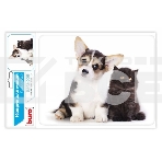 Коврик для мыши Buro BU-M40095 рисунок/котенок и щенок, фото6