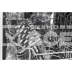 Встраиваемая посудомоечная машина Monsher MD 4502, серебристый, 44.8 см, 9 компл., 49 дБ, класс A++, фото 1