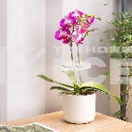 Светильник фито Cactus GARDEN светод. 7.5Вт цв.св.:белый (CS-LED-ORCHID), фото4