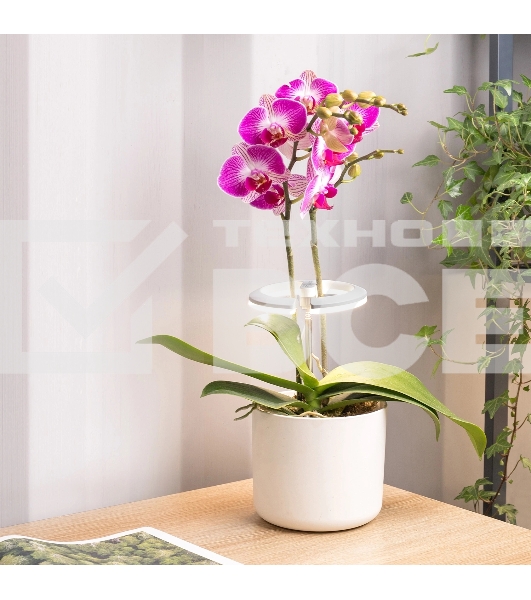 Светильник фито Cactus GARDEN светод. 7.5Вт цв.св.:белый (CS-LED-ORCHID)