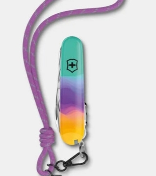 Мультитул Victorinox Companion Slim Alox (0.8170.28) 93мм 6функц. золотистый карт.коробка