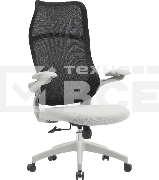 Кресло компьютерное Cactus CS-GMC505-BKGY MAK черный сиденье серый пластик серый