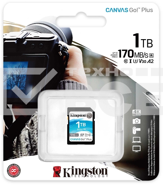 Карта памяти Kingston 1TB SDXC Canvas Go Plus 170R C10 UHS-I U3 V30/ Kingston 1TB SDXC Canvas Go Plus 170R C10 UHS-I U3 V30