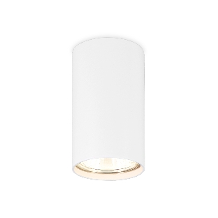 Светильник Ambrella light TN213108 WH белый GU5.3 D55*100