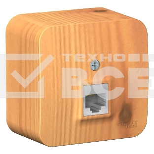 Розетка компьютерная 1-м ОП BLANCA RJ45 кат.5e изол. пласт. ясень SchE BLNIA045005