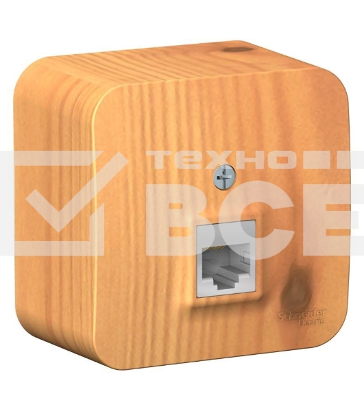 Розетка компьютерная 1-м ОП BLANCA RJ45 кат.5e изол. пласт. ясень SchE BLNIA045005
