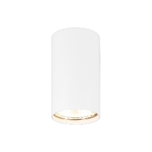 Светильник Ambrella light TN213133 WH белый GU10 D60*90