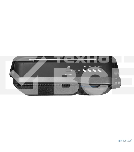 Радиоприемник Ritmix RPR-320, серый