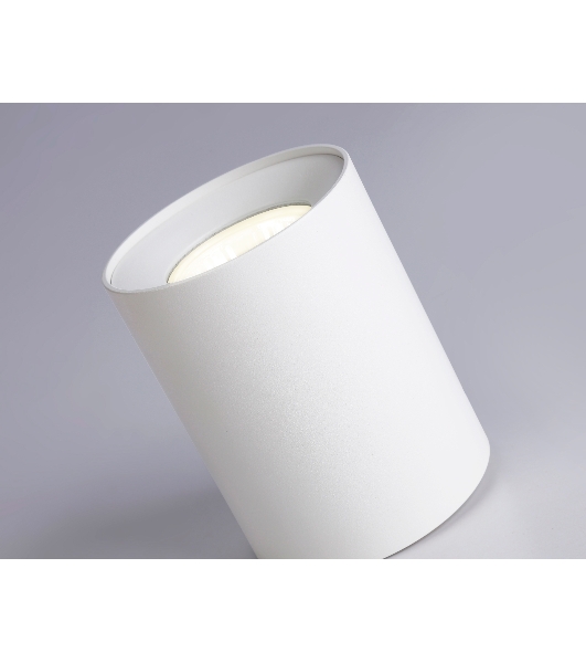 Светильник Ambrella light TN213136 WH белый GU10 max 12W D80*100