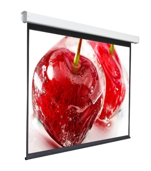 Экран 220x300см Digis Electra-F DSEF-4305 4:3 настенно-потолочный рулонный (моторизованный привод)