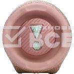 Портативная акустика JBLCHARGE6PINK розовый, фото8