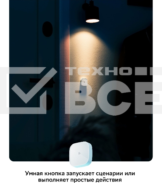Умная кнопка СБЕР/SBER (SBDV-00032) 