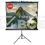 Экран 180x180см TriScreen 1:1 напольный рулонный ЧЕРНЫЙ 100', фото 1