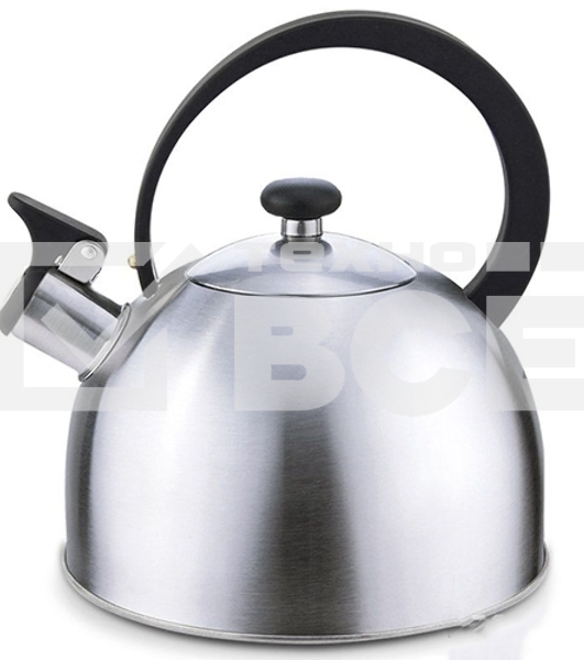 Чайник для плиты со свистком MALLONY Opera 2,5 л, матовый, из нерж стали (005179)