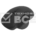 Мышь беспроводная Philips SPK7624 черный, 1600 dpi, радиоканал, Bluetooth, USB, кнопки - 6, фото 1