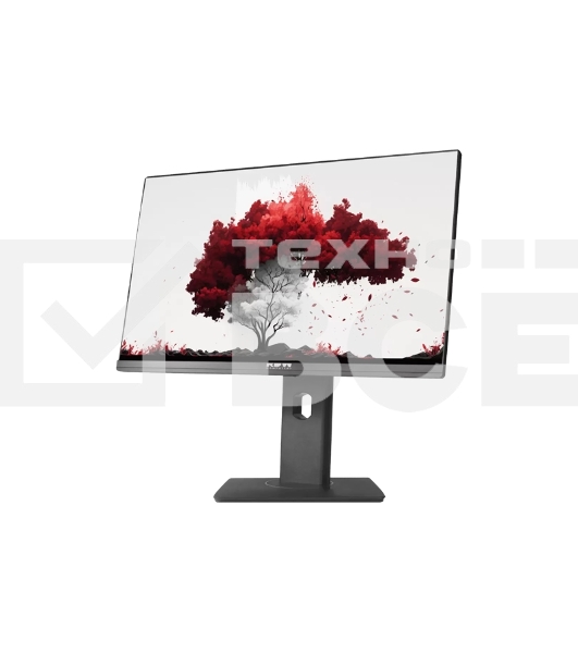 Монитор 23.8' RDW Computers RDW2402K IPS 1920x1080, 75 Гц, 5 мс, 16:9, 300 кд/м², 1xHDMI, 1xDP, 1xVGA, 2x3 Вт, веб-камера, черный