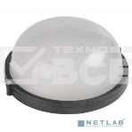 Светильник IEK 100Вт черный (LNPP0-1101-1-100-K02), фото2