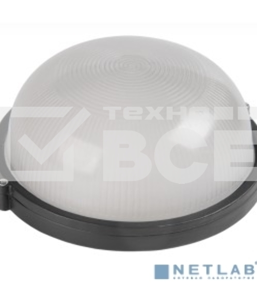 Светильник IEK 100Вт черный (LNPP0-1101-1-100-K02)