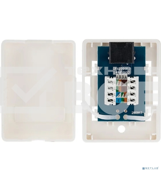 Розетка компьютерная внешняя, 1-порт RJ-45 (8P8C), UTP неэкранированная, категория 6, Rexant