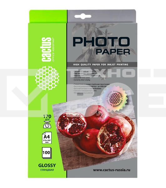 Фотобумага Cactus CS-GA4170100 A4/170г/м2/100л./белый глянцевое для струйной печати