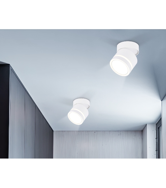 Светильник Ambrella light TA1444 WH/FR белый/белый матовый GX53 max 12W D85*90
