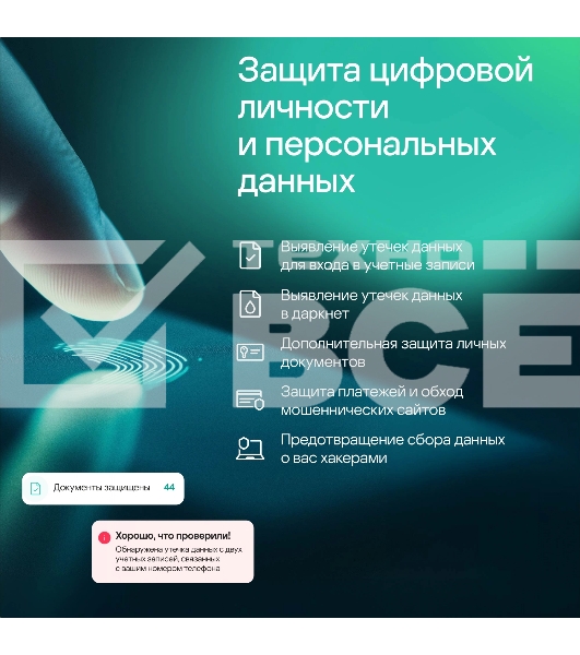 Программное Обеспечение Kaspersky Standard. 1-Device 1 year Base Card (KL1041ROAFS)