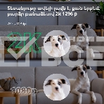 Камера AQARA Camera Hub G3/Камера+ управления/Управление жестами/Камера 360/2K 2304х1296p/Протокол связи:Zigbee/WiFi/Питание:USB-C/ Цвет белый CH-H03, фото40