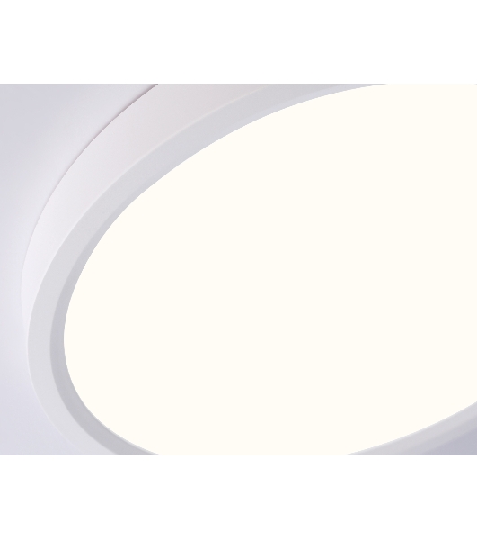 Светильник светодиодный ультратонкий Ambrella light FZ1901 WH белый IP54 13W 3000K-6500K CCT-переключатель D230*25 (Без ПДУ)