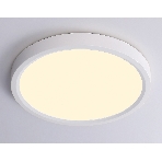 Светильник светодиодный ультратонкий Ambrella light FZ1901 WH белый IP54 13W 3000K-6500K CCT-переключатель D230*25 (Без ПДУ), фото7