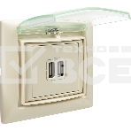 Розетка 2-ая USB 774170 Legrand Valena Сл. кость, фото13
