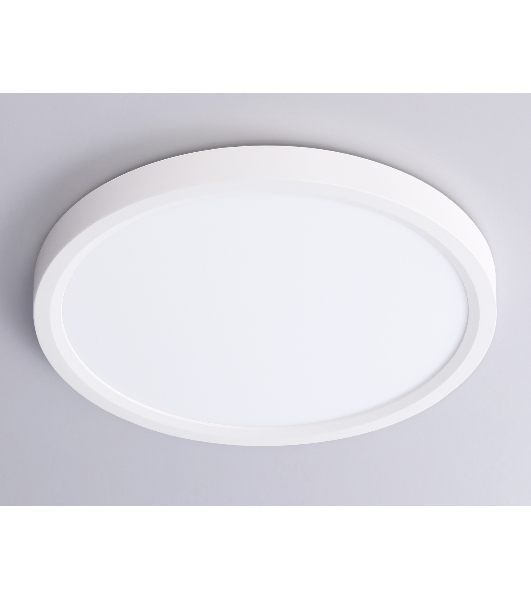 Светильник светодиодный ультратонкий Ambrella light FZ1901 WH белый IP54 13W 3000K-6500K CCT-переключатель D230*25 (Без ПДУ)