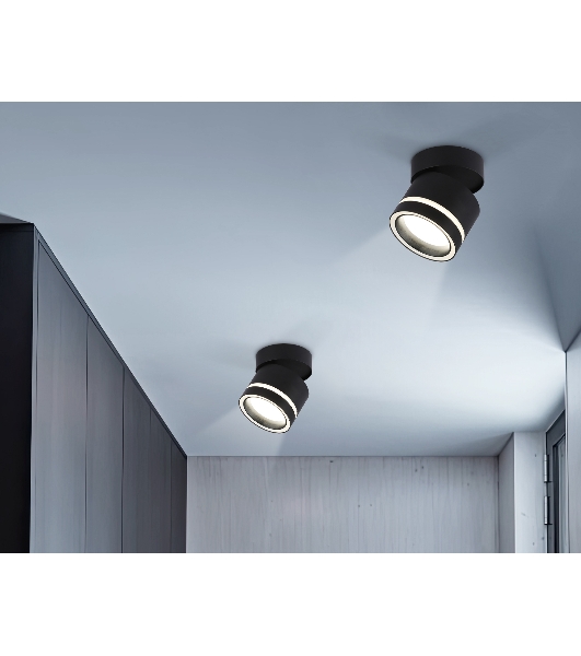 Светильник Ambrella light TA1445 BK/FR черный/белый матовый GX53 max 12W D85*90