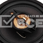 Колонки автомобильные ACV PB-803G 450Вт 90дБ 4Ом 20см (8дюйм) (ком.:2кол.) коаксиальные трехполосные, фото6