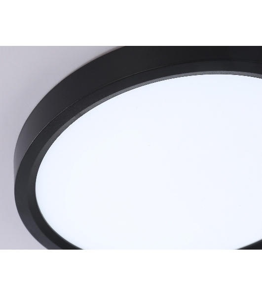 Светильник светодиодный ультратонкий Ambrella light FZ1902 BK черный IP54 13W 3000K-6500K CCT-переключатель D230*25 (Без ПДУ)