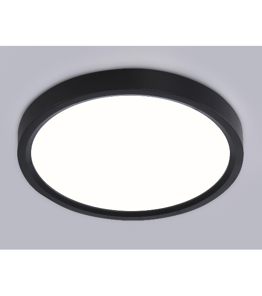 Светильник светодиодный ультратонкий Ambrella light FZ1902 BK черный IP54 13W 3000K-6500K CCT-переключатель D230*25 (Без ПДУ)