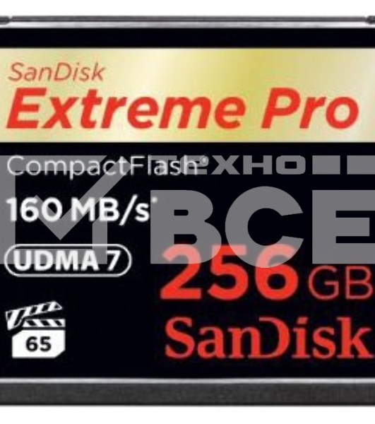 Флеш карта CF 256Gb Sandisk SDCFXPS-256G-X46