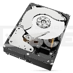 Жесткий диск SAS 1TB 7200RPM 12GB/S ST1000NM001A SEAGATE, фото9