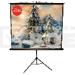 Экран 150x150см TriScreen 1:1 напольный рулонный белый84' Matt White (MW), черный корпус, фото13