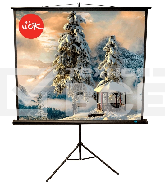 Экран 150x150см TriScreen 1:1 напольный рулонный белый84' Matt White (MW), черный корпус