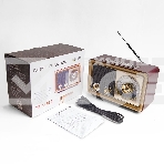 Радиоприемник портативный Сигнал БЗРП РП-324BT коричневый/бежевый USB SD/microSD, фото6
