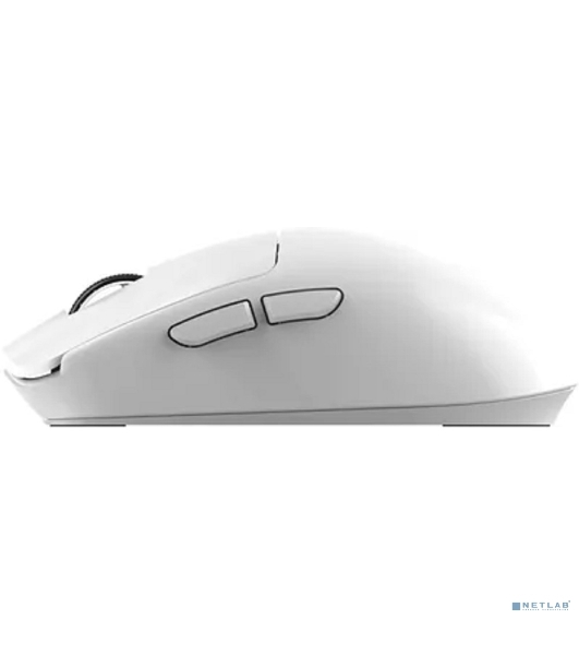 Мышь беспроводная/проводная Acer OMR401 белый, 12000 dpi, радиоканал, Bluetooth, USB, кнопки - 5