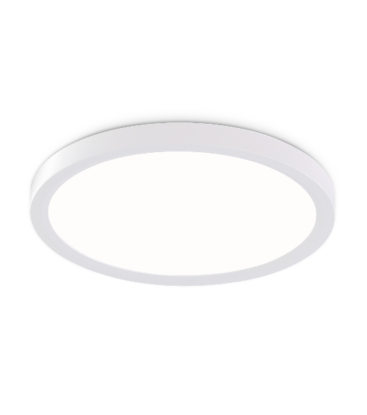 Светильник светодиодный ультратонкий Ambrella light FZ1903 WH белый IP54 20W 3000K-6500K CCT-переключатель D300*25 (Без ПДУ)