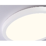 Светильник светодиодный ультратонкий Ambrella light FZ1903 WH белый IP54 20W 3000K-6500K CCT-переключатель D300*25 (Без ПДУ), фото9